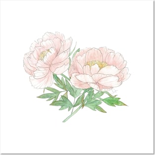 Pair of Peonies Watercolor Illustration Posters and Art
